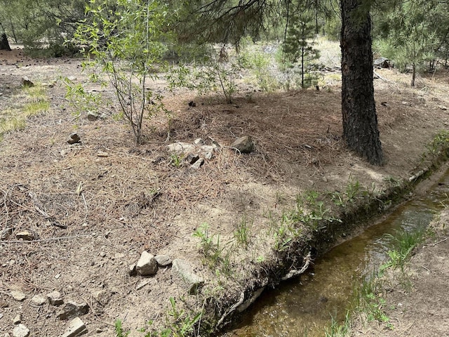 2318B Old Red River Rd, Questa, NM 87556 - photo 11
