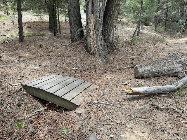 2318B Old Red River Rd, Questa, NM 87556 - photo 10