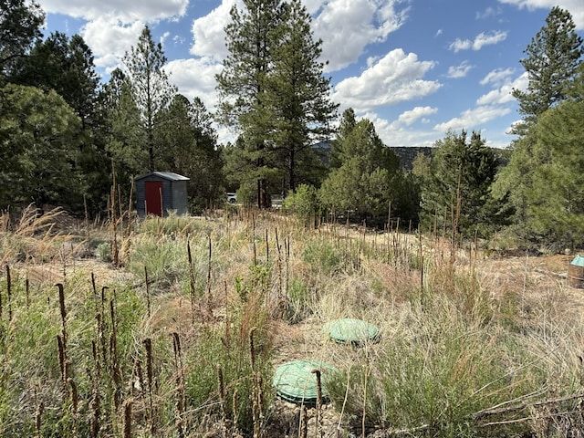 2318B Old Red River Rd, Questa, NM 87556 - photo 31