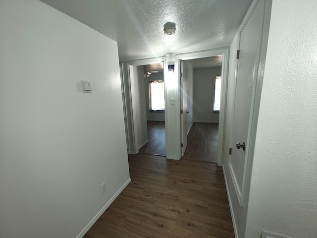 5409 Tioga Rd NW, Albuquerque, NM 87120 - photo 19