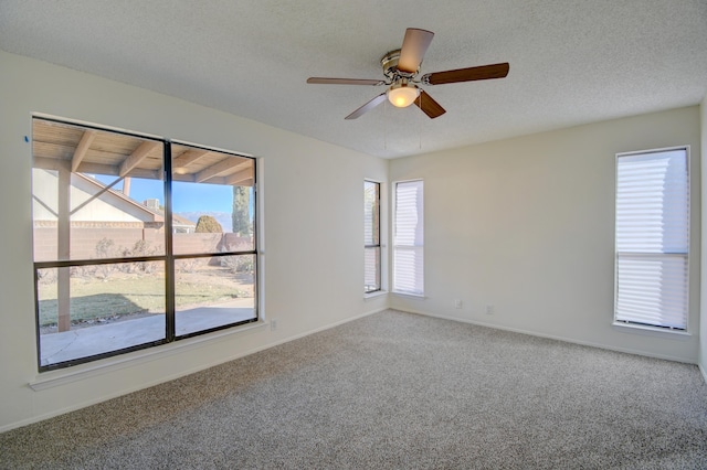 7311 Grange Ave NW, Albuquerque, NM 87120 - photo 9