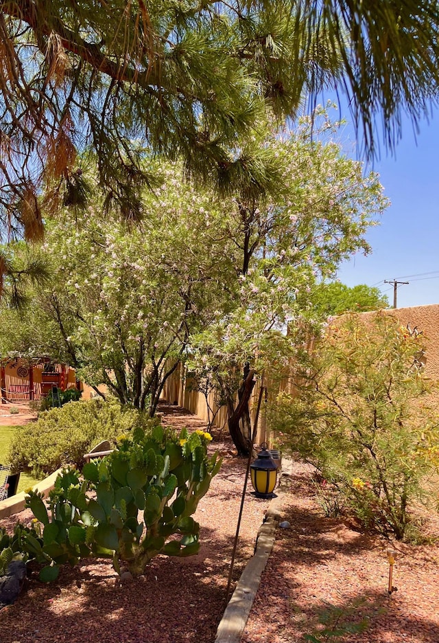 12541 Indian Trl NE, Albuquerque, NM 87112 - photo 68