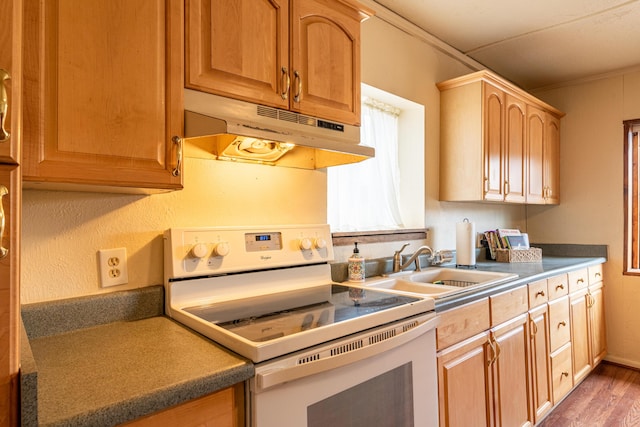 4627 San Isidro St NW, Albuquerque, NM 87107 - photo 24