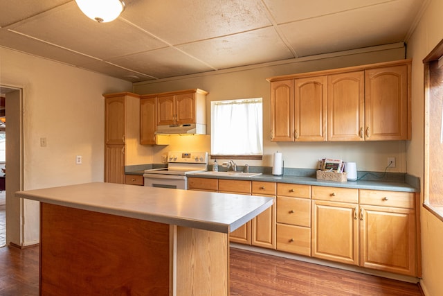 4627 San Isidro St NW, Albuquerque, NM 87107 - photo 23
