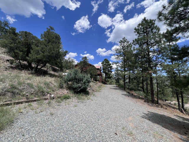 1691 Ponderosa Dr, Jemez Springs, NM 87025 - photo 42