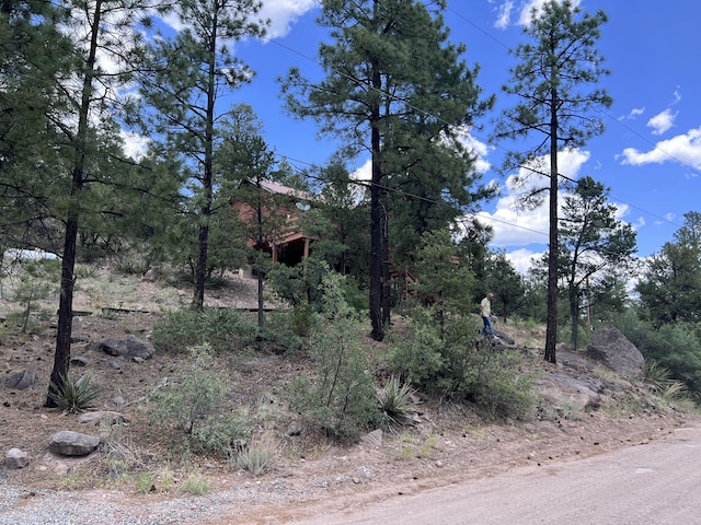 1691 Ponderosa Dr, Jemez Springs, NM 87025 - photo 38