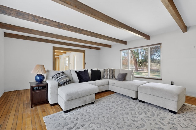 900 Westgate Ln NW, Los Ranchos, NM 87107 - photo 7