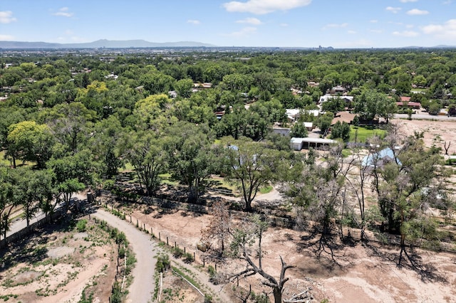 900 Westgate Ln NW, Los Ranchos, NM 87107 - photo 75