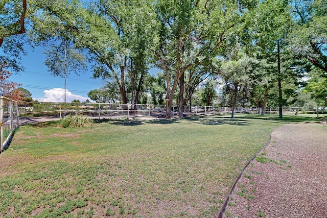 900 Westgate Ln NW, Los Ranchos, NM 87107 - photo 54