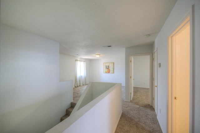 7315 Cripple Creek Rd NW, Albuquerque, NM 87114 - photo 34