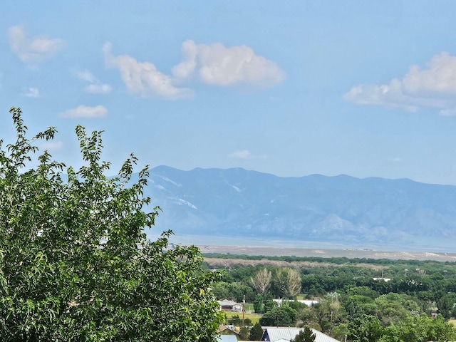 1628 Drake Rd, Los Lunas, NM 87031 - photo 46