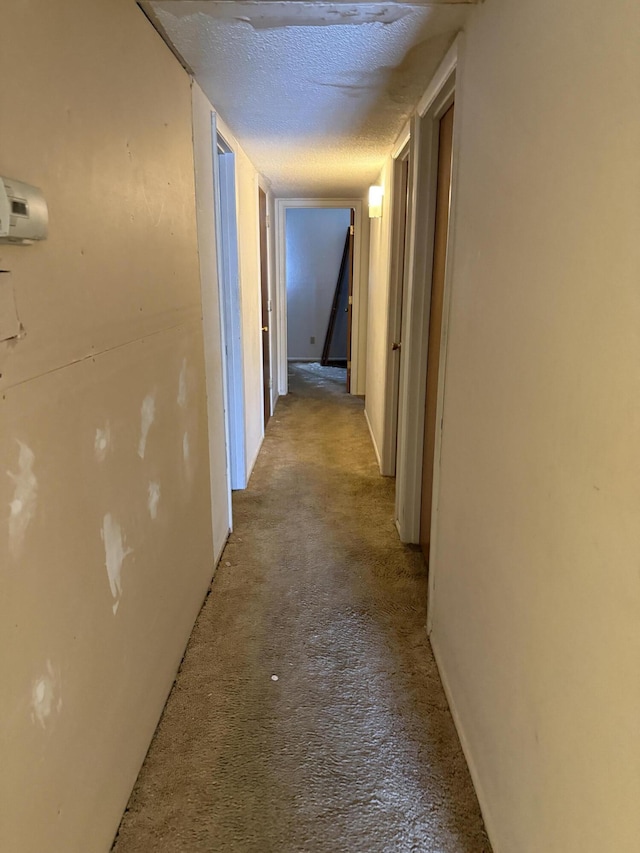 13212 Oriente Ave NE, Albuquerque, NM 87123 - photo 9