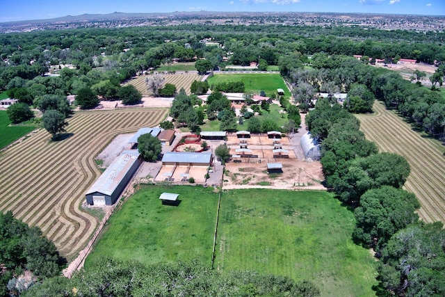 7012 Rio Grande Blvd NW, Los Ranchos, NM 87107 - photo 5