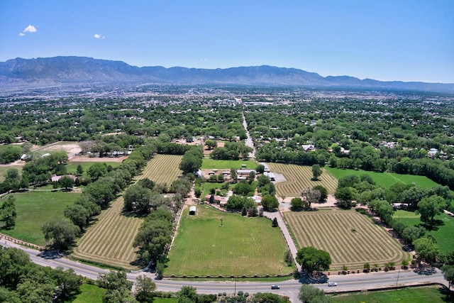 7012 Rio Grande Blvd NW, Los Ranchos, NM 87107 - photo 9