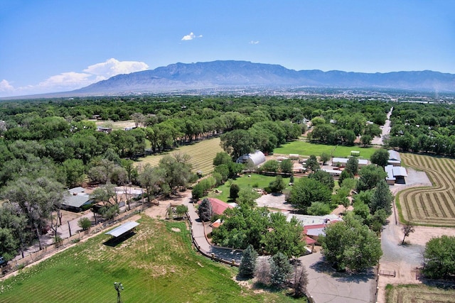 7012 Rio Grande Blvd NW, Los Ranchos, NM 87107 - photo 62