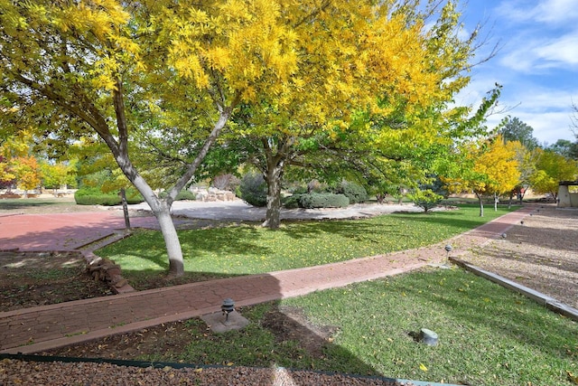 7012 Rio Grande Blvd NW, Los Ranchos, NM 87107 - photo 55