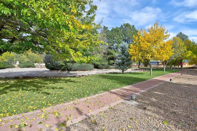 7012 Rio Grande Blvd NW, Los Ranchos, NM 87107 - photo 54