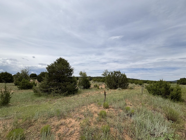 0 E Trail Trail, Edgewood, NM 87015 - photo 8