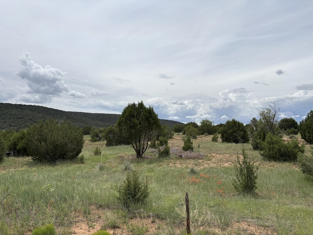 0 E Trail Trail, Edgewood, NM 87015 - photo 6