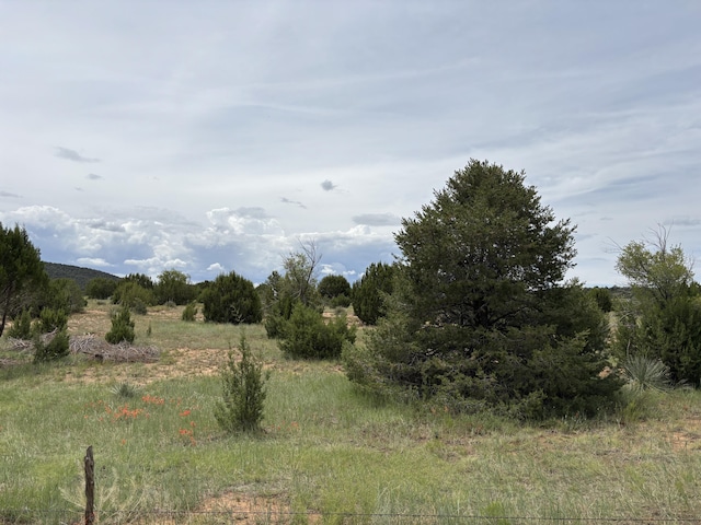 0 E Trail Trail, Edgewood, NM 87015 - photo 5
