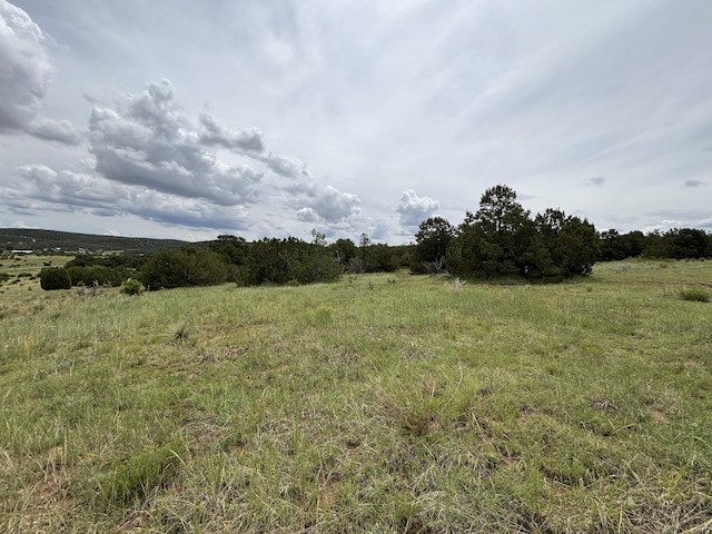0 E Trail Trail, Edgewood, NM 87015 - photo 3