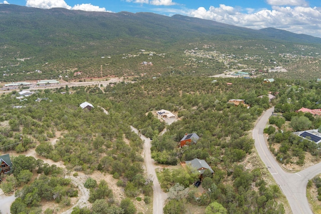 16 Haven Dr, Cedar Crest, NM 87008 - photo 44
