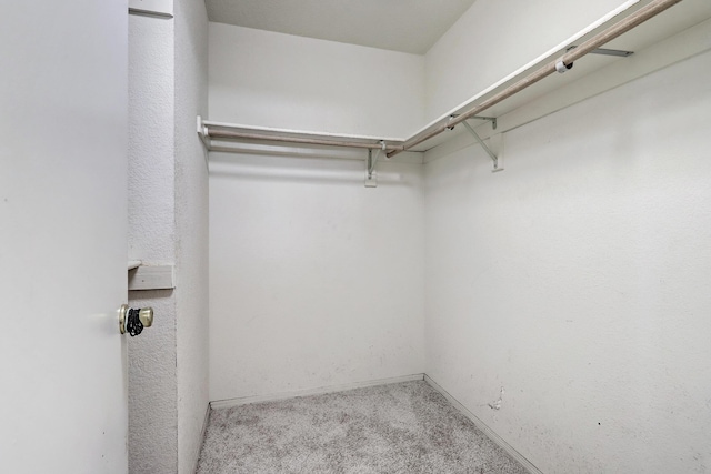 7309 Countrywood Ave NW, Albuquerque, NM 87120 - photo 16
