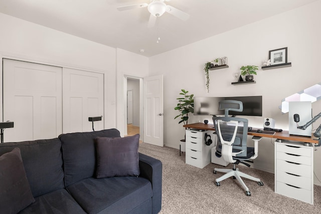 10816 Esmeralda Dr NW, Albuquerque, NM 87114 - photo 26