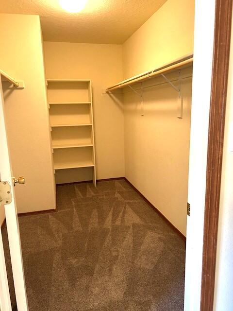 4906 Dolores Hildago Dr SE, Rio Rancho, NM 87124 - photo 27