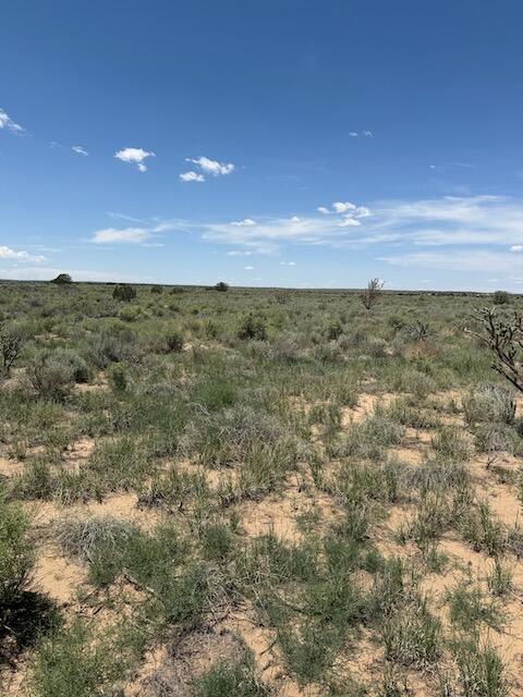 Rio Rancho Ests, Rio Rancho, NM 87144 - photo 8