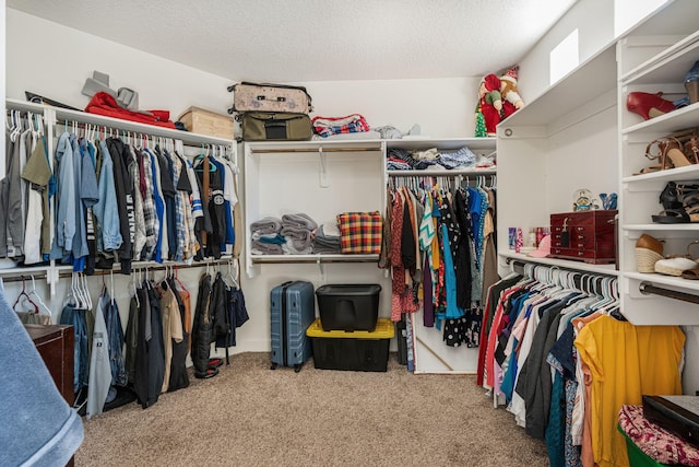 5625 Pikes Peak Loop NE, Rio Rancho, NM 87144 - photo 25