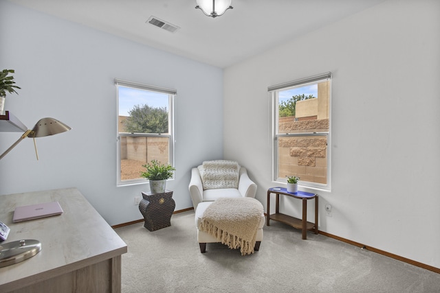 363 Taylor Rd NE, Los Lunas, NM 87031 - photo 12