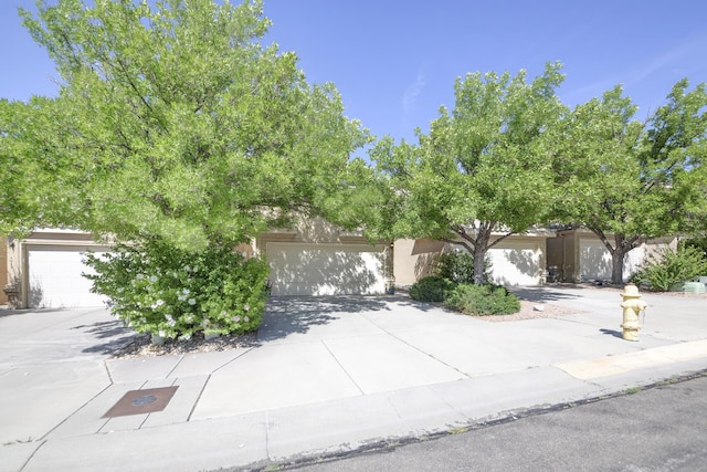 4919 Sereno Dr NE, Albuquerque, NM 87111 - photo 2