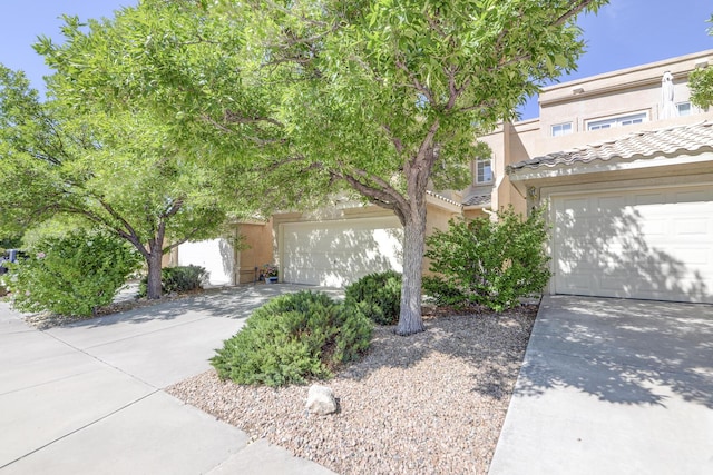 4919 Sereno Dr NE, Albuquerque, NM 87111 - photo 3