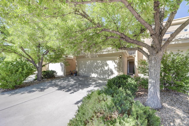 4919 Sereno Dr NE, Albuquerque, NM 87111 - photo 4