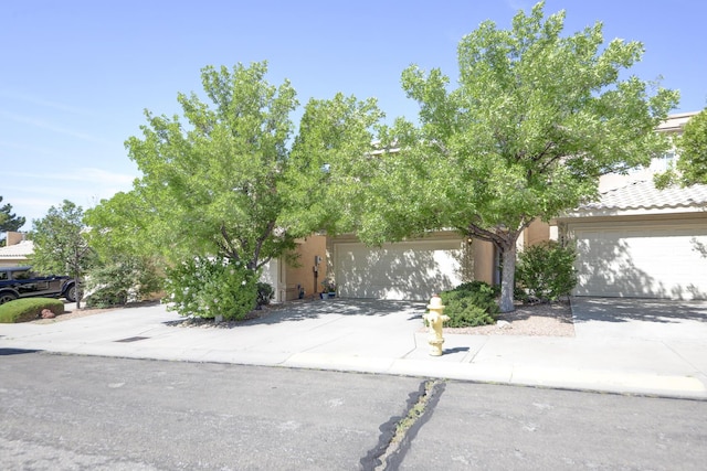 4919 Sereno Dr NE, Albuquerque, NM 87111 - photo 7