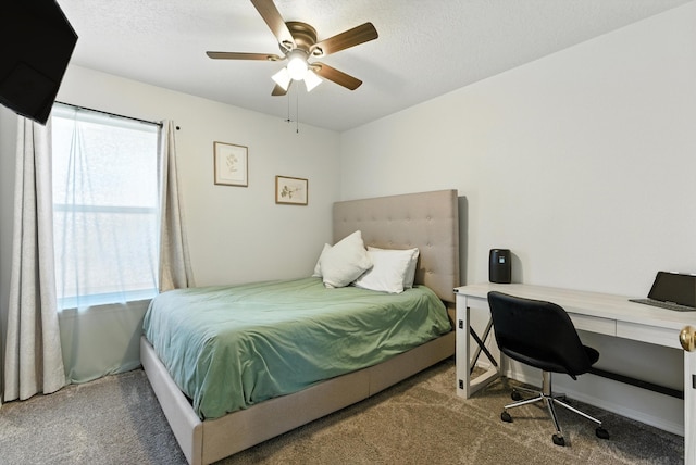 9412 Talara Pl NW, Albuquerque, NM 87114 - photo 31