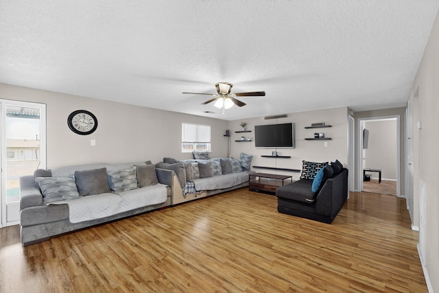 1017 Muriel St NE, Albuquerque, NM 87112 - photo 5