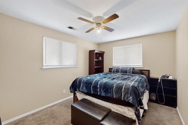 1017 Muriel St NE, Albuquerque, NM 87112 - photo 14