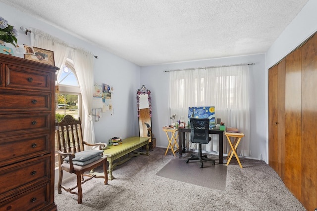 462 Bishop Ct, Rio Communities, NM 87002 - photo 13