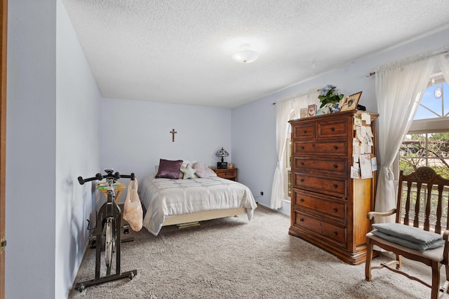 462 Bishop Ct, Rio Communities, NM 87002 - photo 11