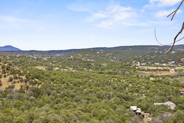 42 Eagle Trl, Tijeras, NM 87059 - photo 36