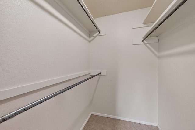 329 Hathaway Cir, Los Lunas, NM 87031 - photo 19