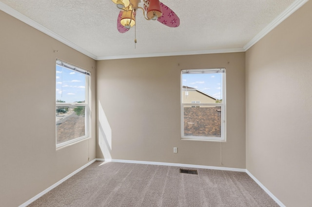 7963 Brady Rd NW, Albuquerque, NM 87120 - photo 38