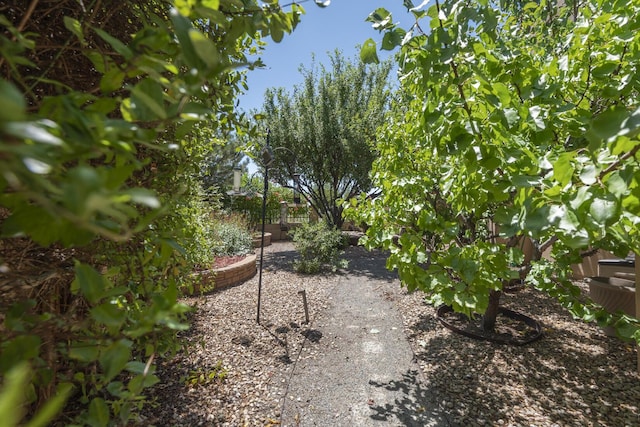 2615 Vista Manzano Loop NE, Rio Rancho, NM 87144 - photo 48