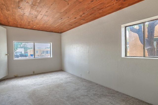 1134 Princeton Dr NE, Albuquerque, NM 87106 - photo 27