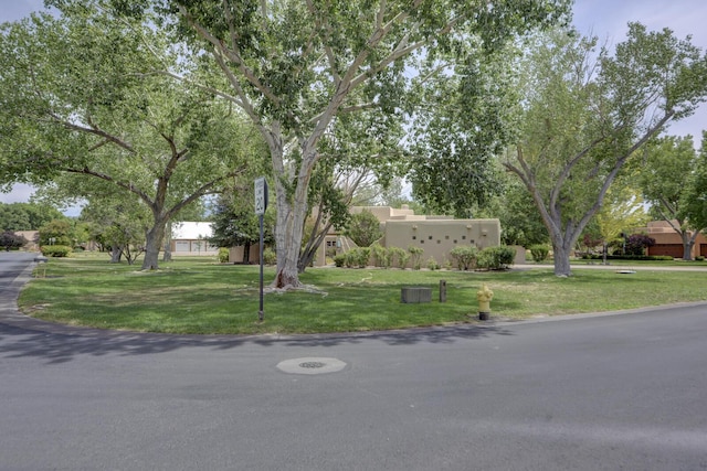 5800 Tinnin Rd NW, Los Ranchos, NM 87107 - photo 4