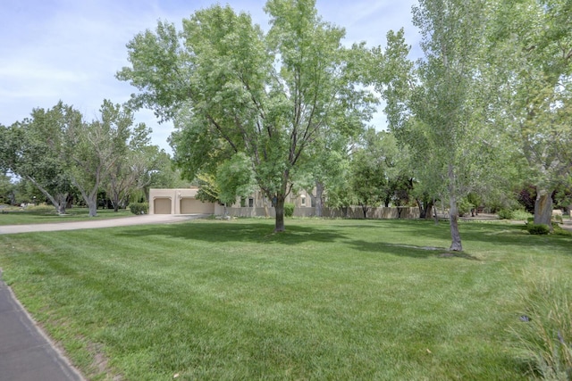5800 Tinnin Rd NW, Los Ranchos, NM 87107 - photo 8