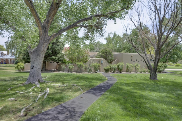 5800 Tinnin Rd NW, Los Ranchos, NM 87107 - photo 13