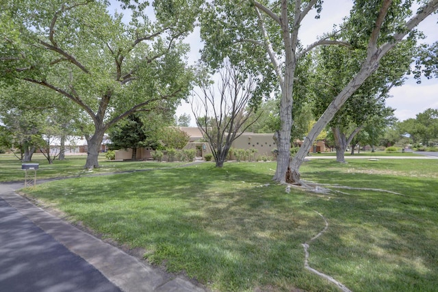 5800 Tinnin Rd NW, Los Ranchos, NM 87107 - photo 15
